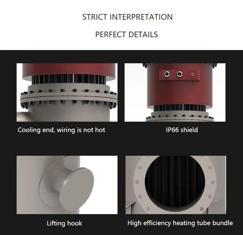 High Efficiency Flanged Fluid Pipeline Flange Tubular Immersion Circulation Regeneration Gas Heater for Industrial